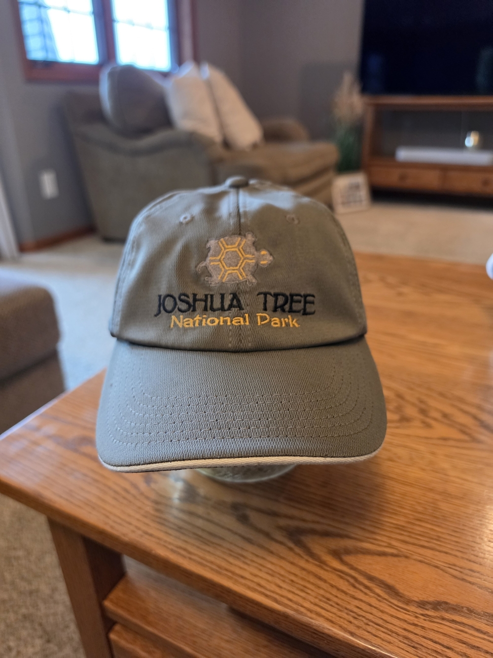 Joshua Tree Baseball Hat- Adult osfm